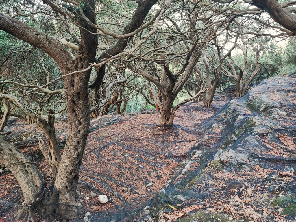 Foto: Angelokastro - Αγγελόκαστρο (Ionian Islands), Grecia