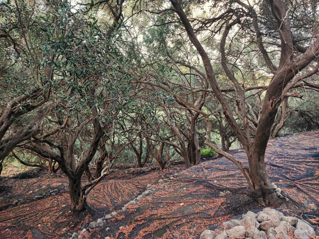 Foto: Angelokastro - Αγγελόκαστρο (Ionian Islands), Grecia