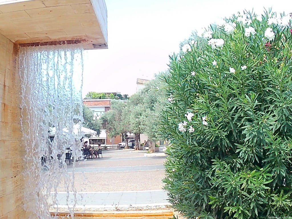 Foto: Plaza San Andrés - Jeréz de la Frontera (Cádiz), España