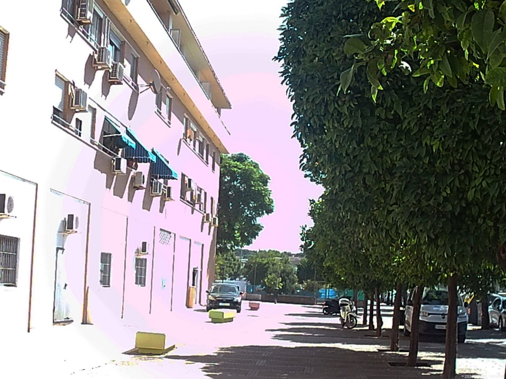 Foto: Residencial Primero de Mayo - Jerez de la Frontera (Cádiz), España