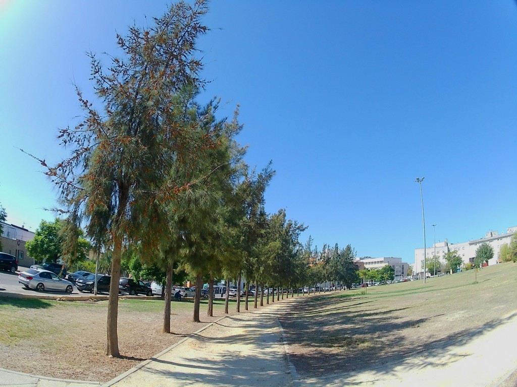 Foto: Parque de lgualdad - Jerez de la Frontera (Cádiz), España