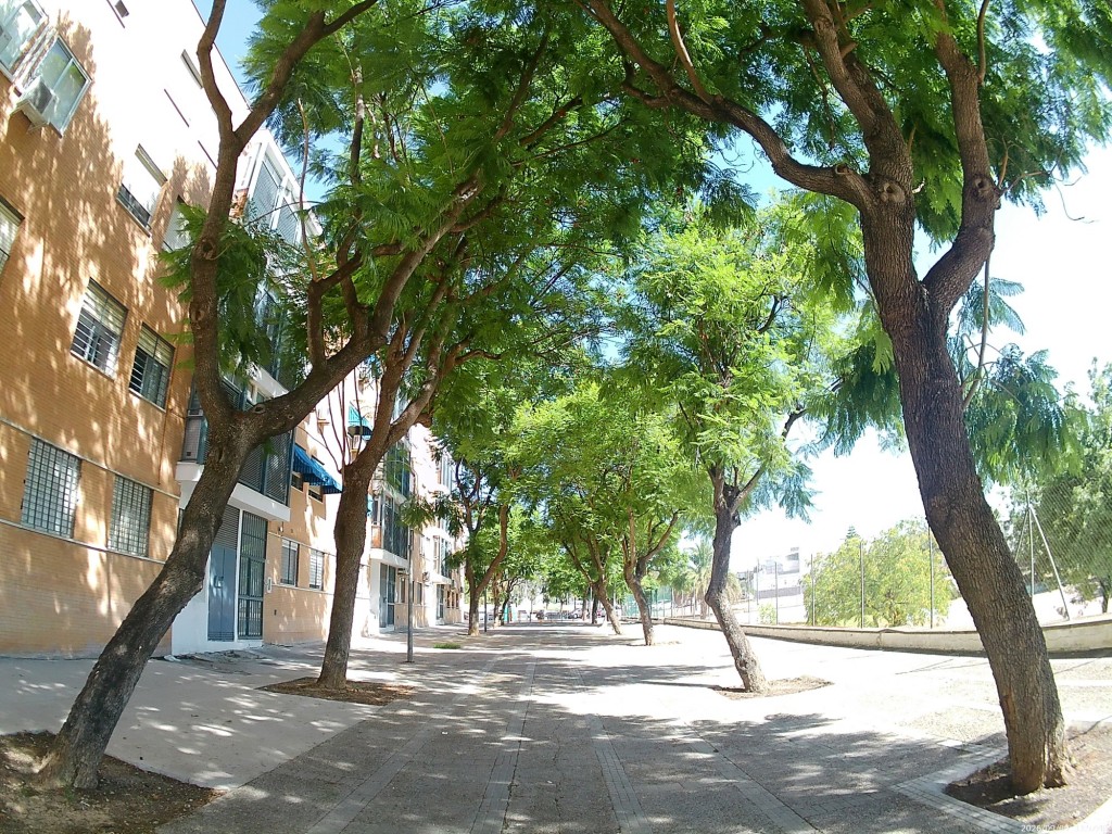 Foto de Jerez de la Frontera (Cádiz), España