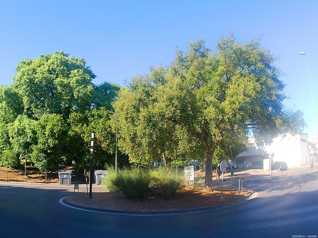 Foto: Glorieta Cantaor Luis de la Pica - Jerez de la Frontera (Cádiz), España