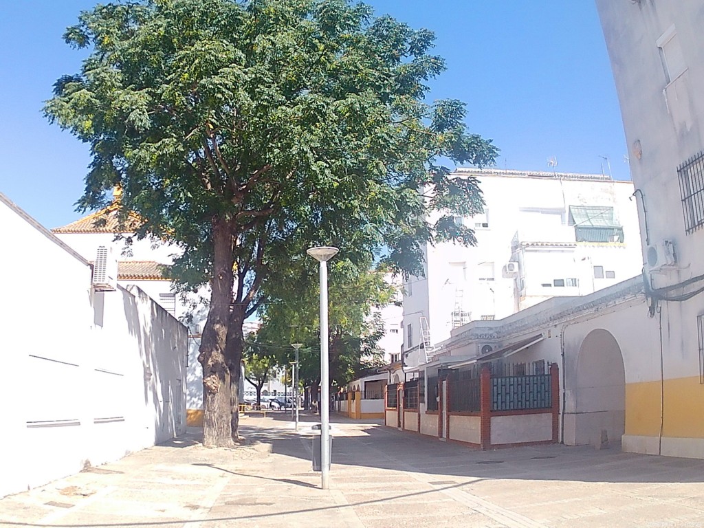 Foto: Calle Candelaria - Jerez de la Frontera (Cádiz), España