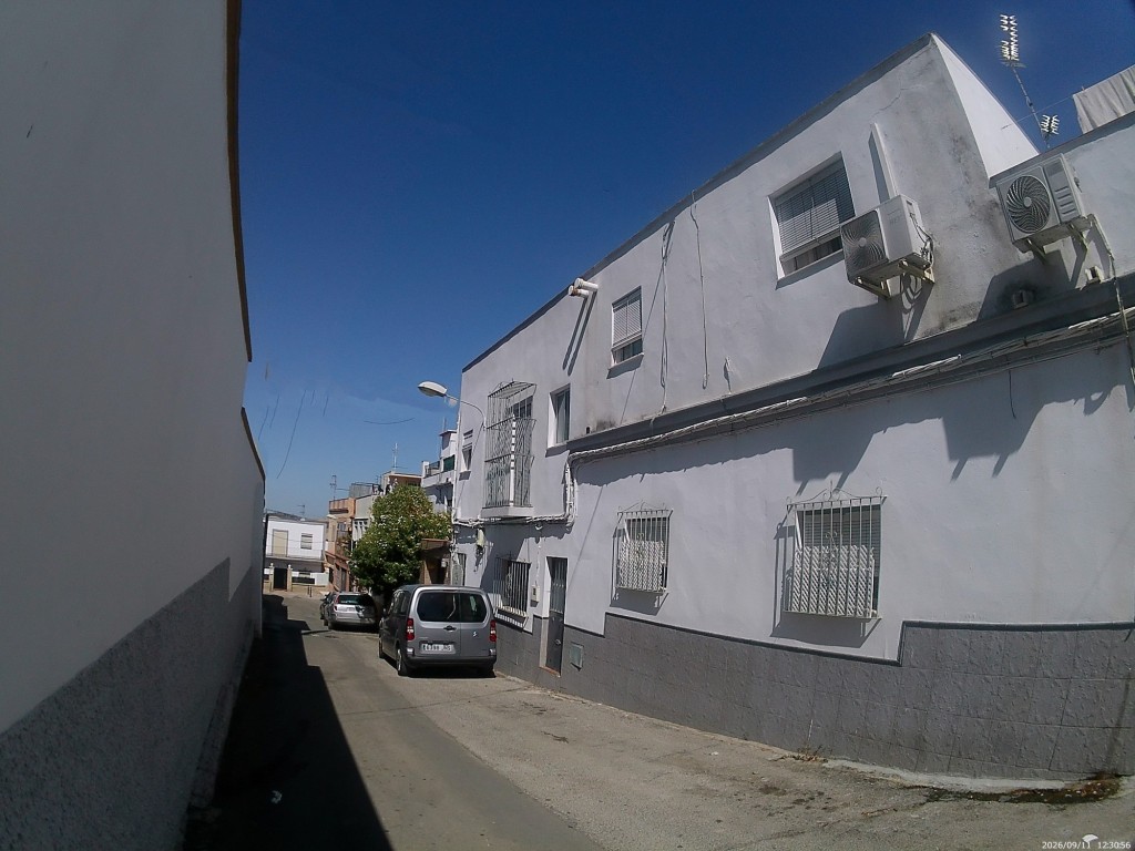 Foto: Calle de las Camelias - Jerez de la Frontera (Cádiz), España