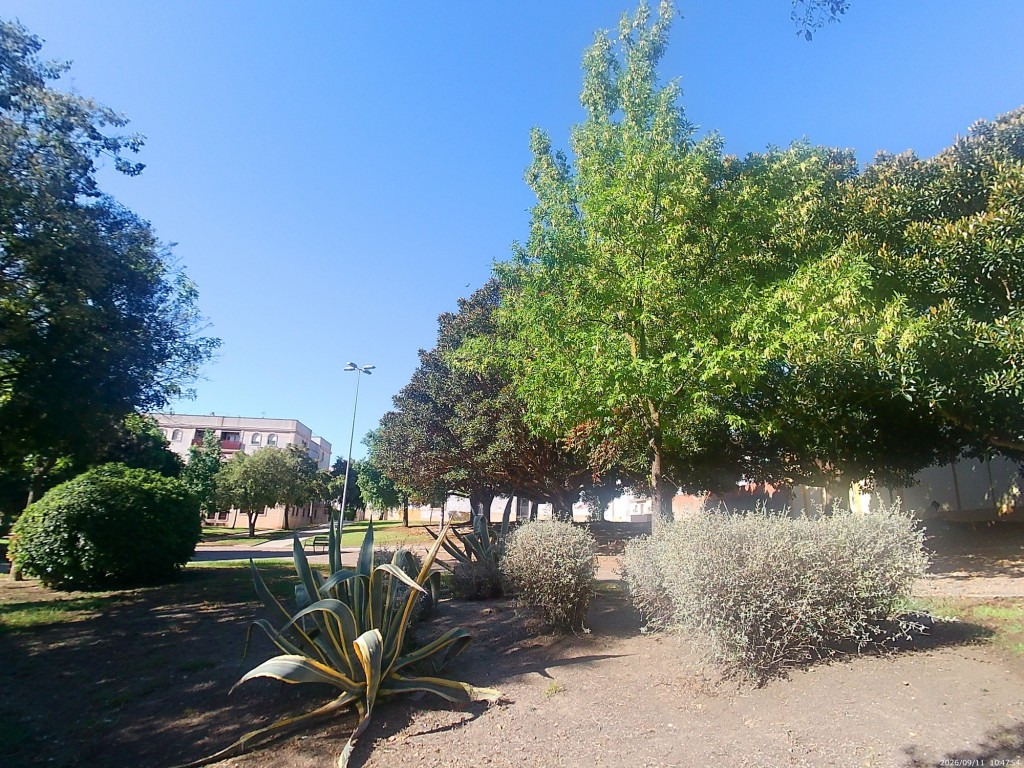 Foto: Parque Manuel Mazzoni Pérez -Carnavalero - Jerez de la Frontera (Cádiz), España