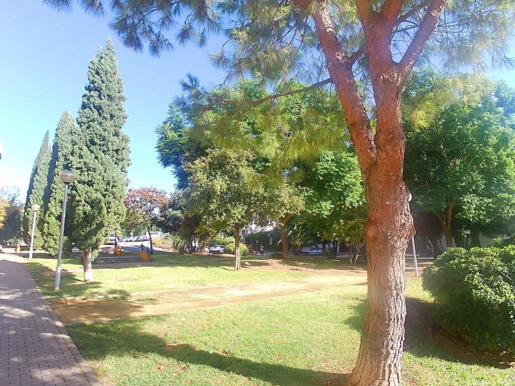 Foto: Parque Regimiento de Artilleria Nº 74 - Jerez de la Frontera (Cádiz), España
