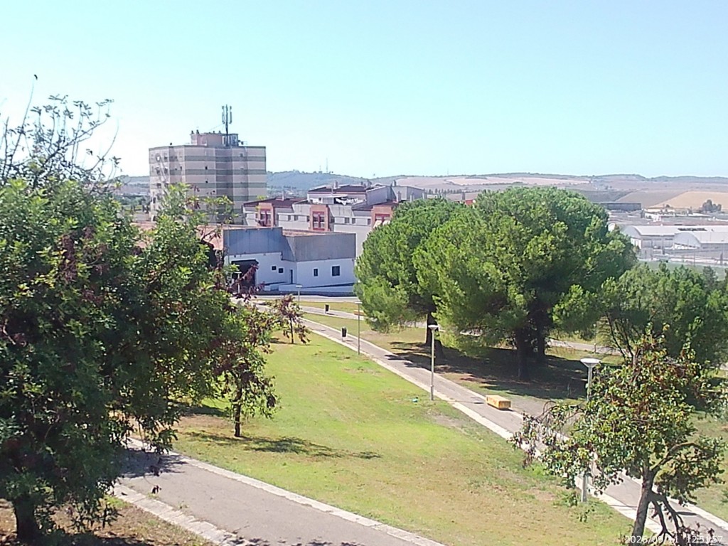 Foto: Camino Cruz del Canto - Jerez de la Frontera (Cádiz), España