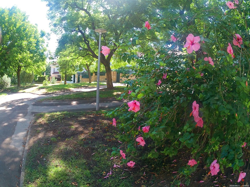 Foto: Parque Alto - Jerez de la Frontera (Cádiz), España