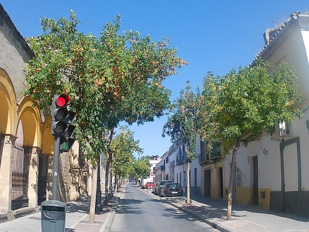 Foto: Calle Taxdirt - Jerez de la Frontera (Cádiz), España