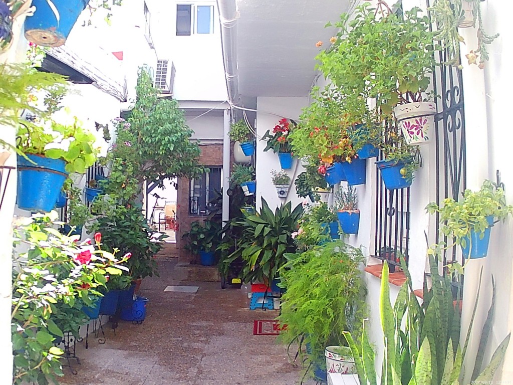 Foto: Patio - Jerez de la Frontera (Cádiz), España