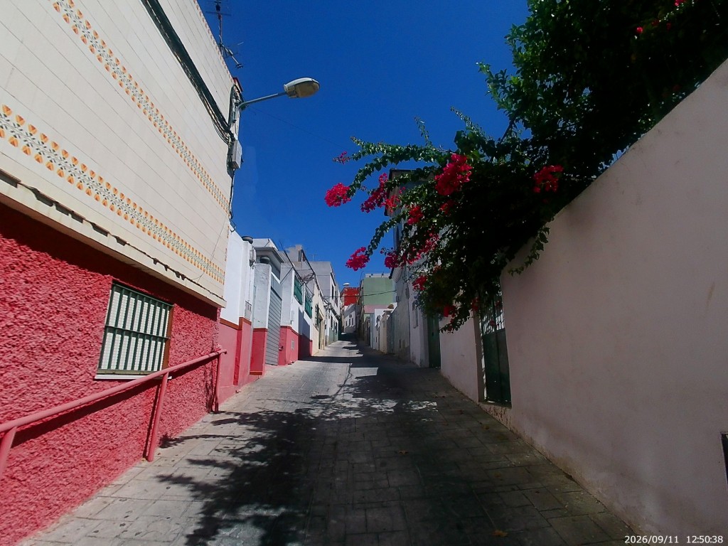 Foto: Calle Begonia - Jerez de la Frontera (Cádiz), España