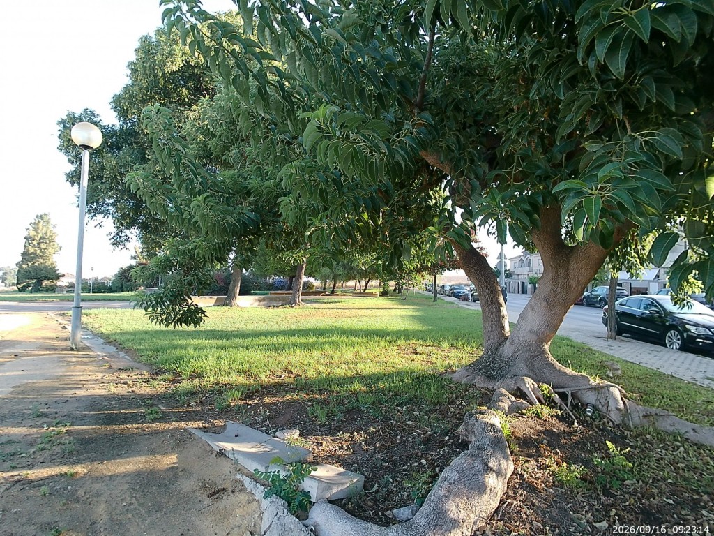 Foto: Parque los Villares - Jerez de la Frontera (Cádiz), España
