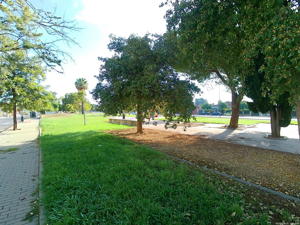 Foto: Parque Familia Casal Sánchez - Jerez de la Frontera (Cádiz), España