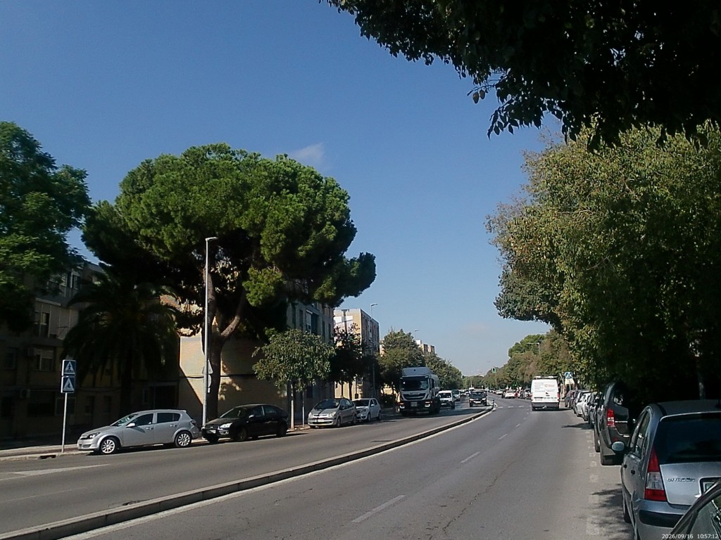 Foto: Calle Avenida Ingeniero Angel Mayo - Jerez de la Frontera (Cádiz), España