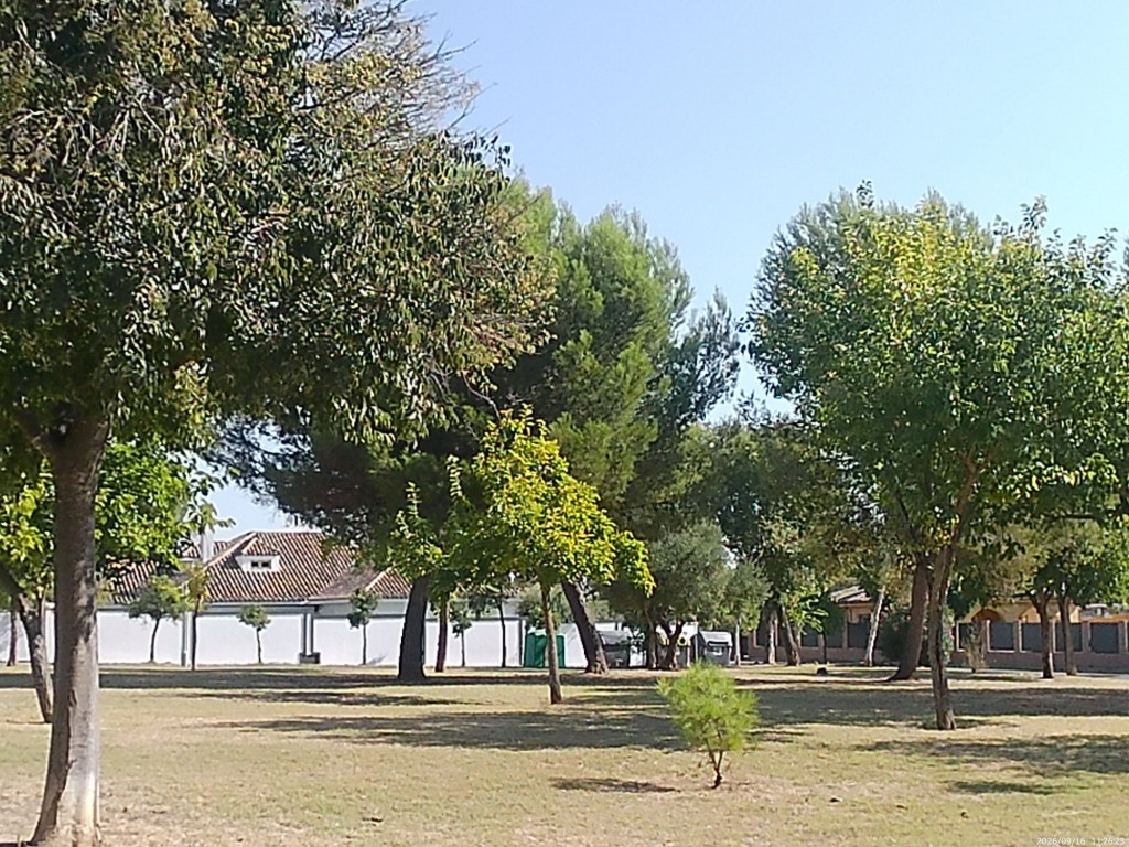 Foto: Glorieta de los Álamos - Jerez de la Frontera (Cádiz), España