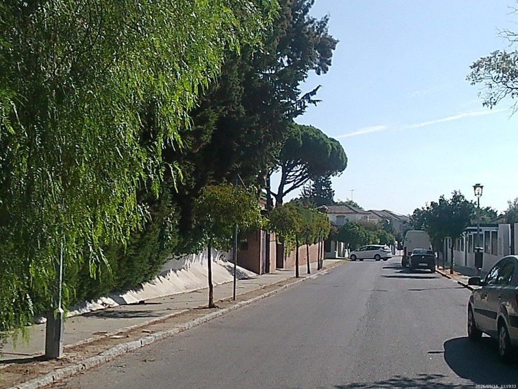 Foto: Calle Avenida de Sicomoro - Jerez de la Frontera (Cádiz), España