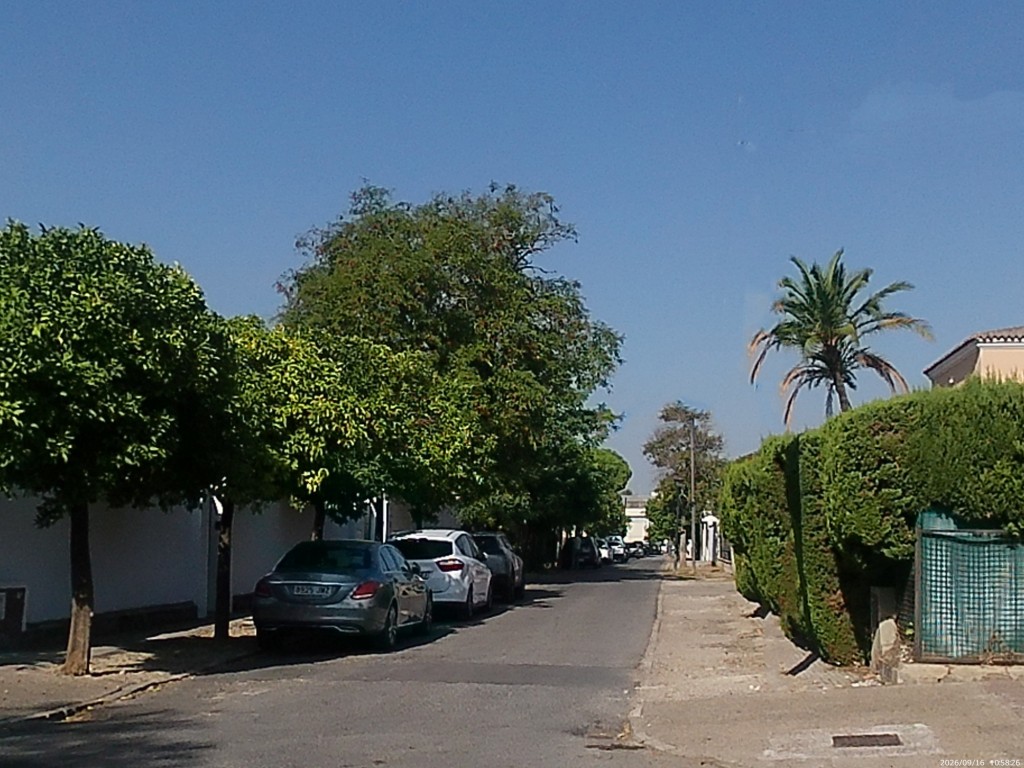 Foto: Calle Avenida de las Acacias - Jerez de la Frontera (Cádiz), España