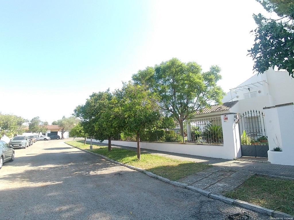 Foto: Plaza de la Albahaca - Jerez de la Frontera (Cádiz), España
