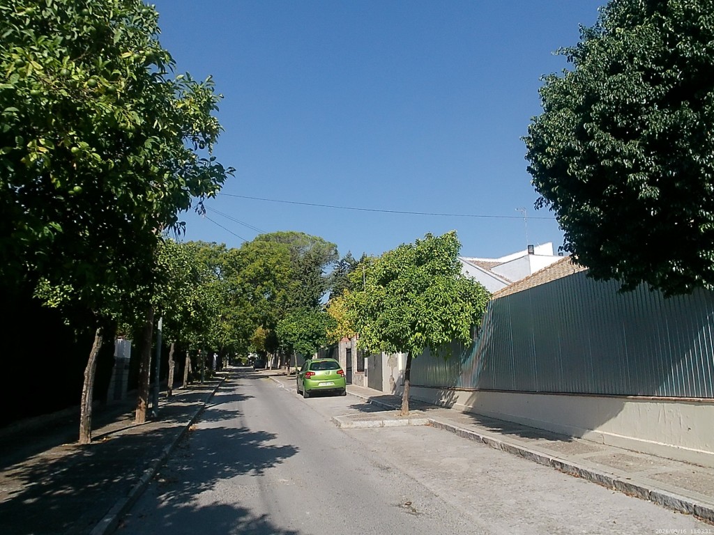 Foto: Calle del Limonar - Jerez de la Frontera (Cádiz), España