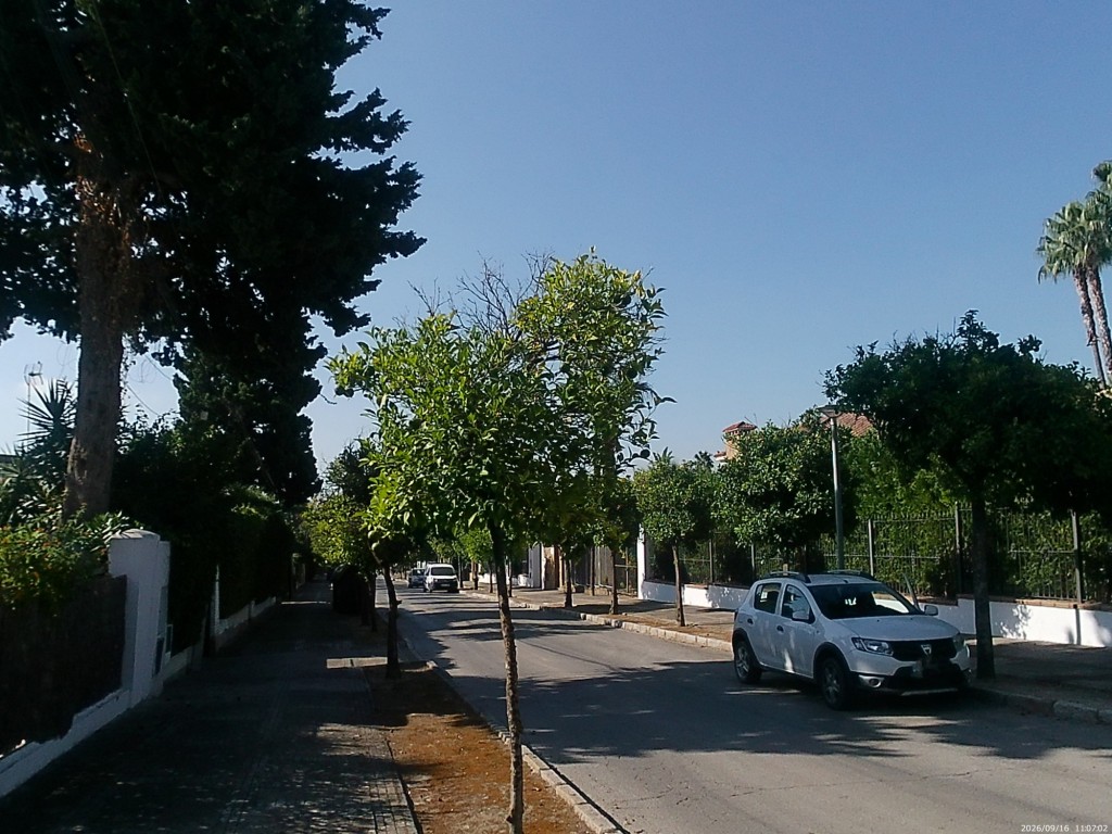Foto: Calle Los Álamos - Jerez de la Frontera (Cádiz), España