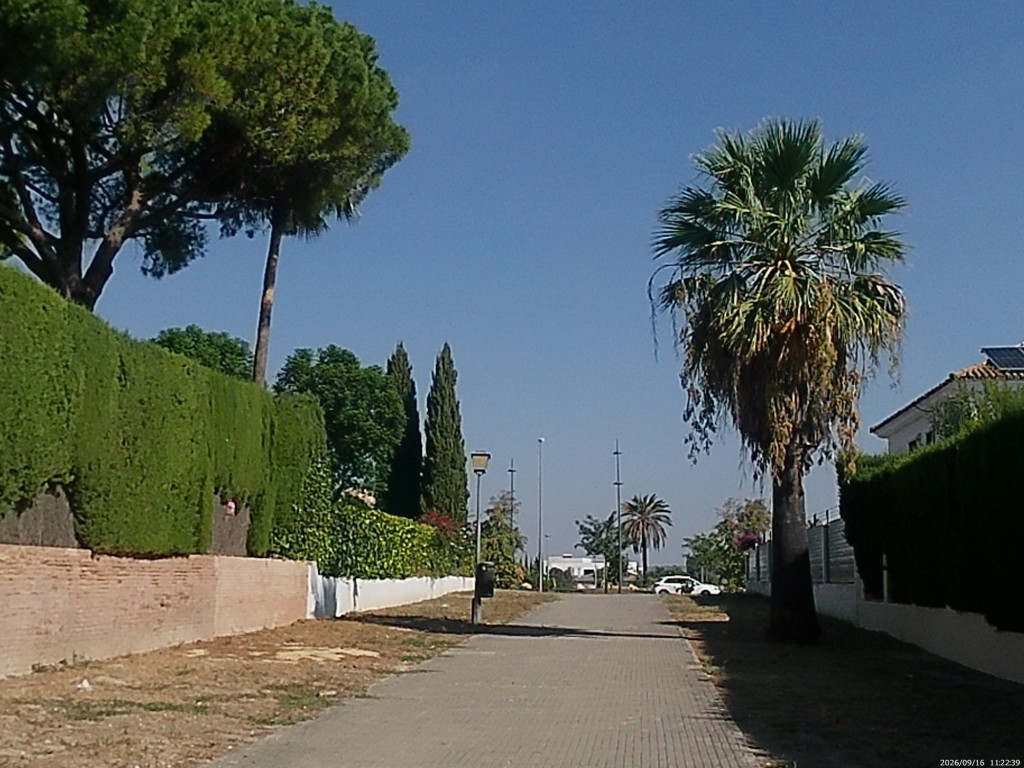 Foto: Calle Amaranto - Jerez de la Frontera (Cádiz), España
