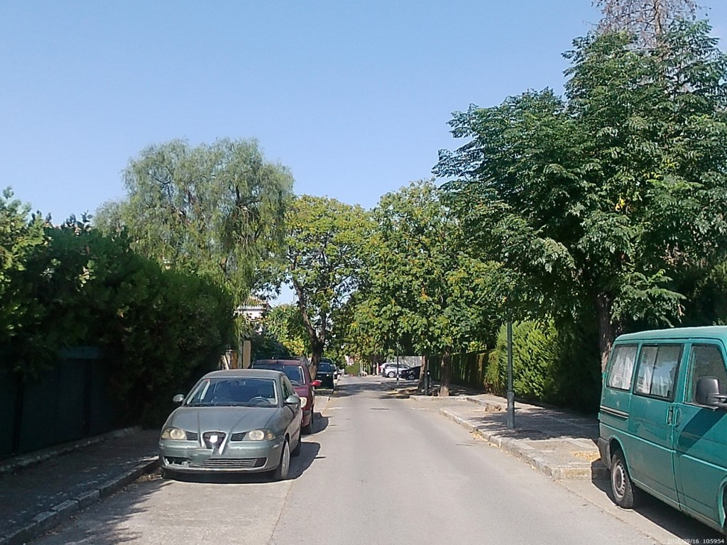 Foto: Calle Avenida del Pinar - Jerez de la Frontera (Cádiz), España