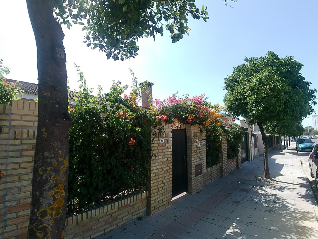 Foto: El Ajolí - Jerez de la Frontera (Cádiz), España
