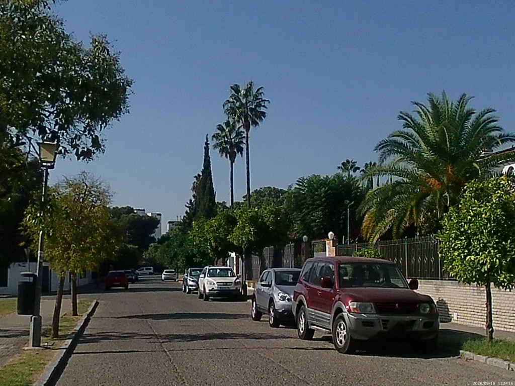 Foto: Avenida de la Magnolia - Jerez de la Frontera (Cádiz), España