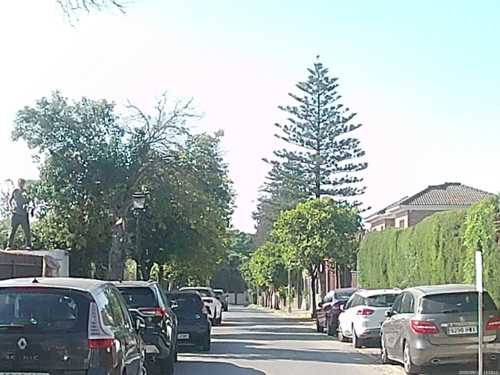 Foto: Calle de la Jacaranda - Jerez de la Frontera (Cádiz), España