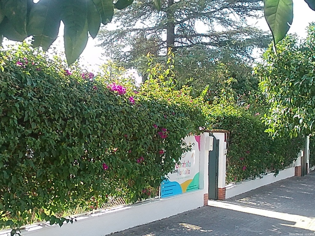 Foto: Colegio Garabato Montealto - Jerez de la Frontera (Cádiz), España