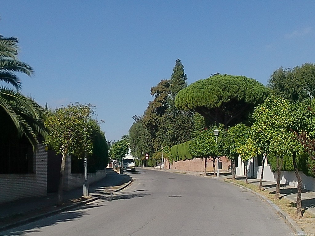 Foto: Avenida del Sicomoro - Jerez de la Frontera (Cádiz), España