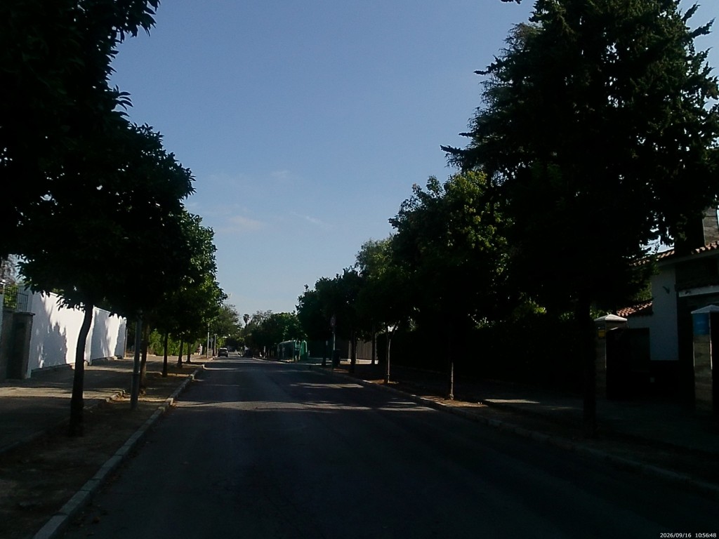Foto: Calle Avenida de los Álamos - Jerez de la Frontera (Cádiz), España