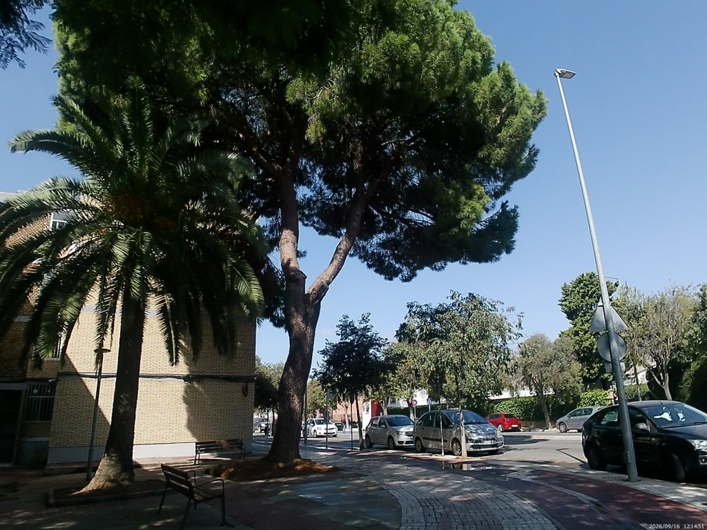 Foto: Barrio San Benito - Jerez de la Frontera (Cádiz), España
