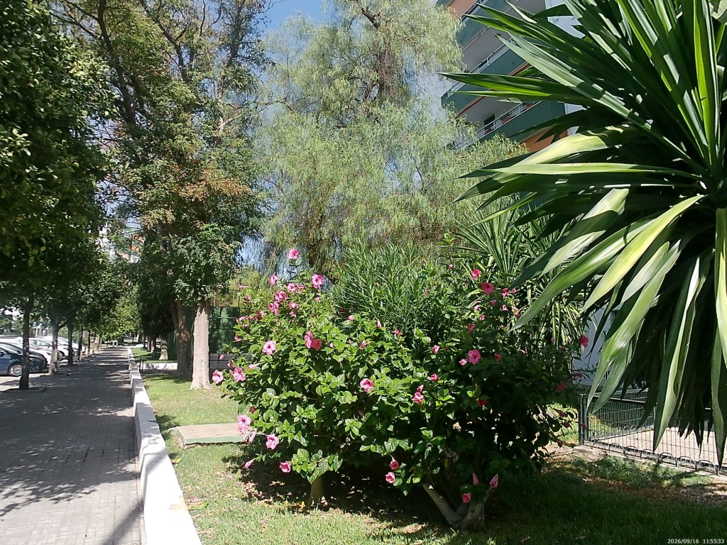 Foto: Jardines de la Comedia - Jerez de la Frontera (Cádiz), España
