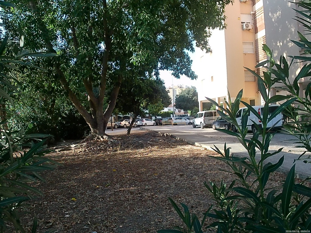 Foto: Paseo de los Cedros - Jerez de la Frontera (Cádiz), España