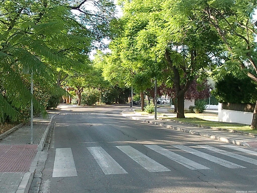 Foto: Calle Pintor Rodriguez Losada - Jerez de la Frontera (Cádiz), España