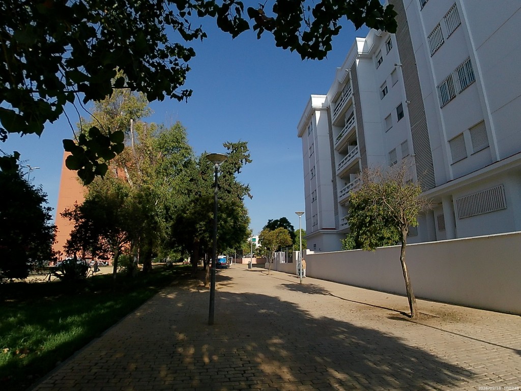 Foto: Paseo de los Cedros - Jerez de la Frontera (Cádiz), España