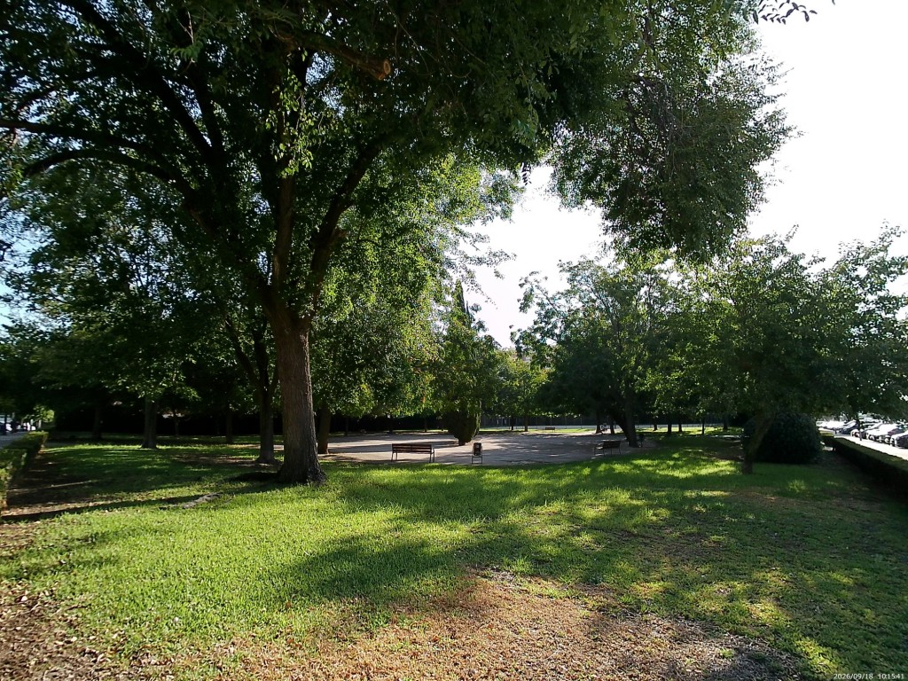 Foto: Parque de los Gatos - Jerez de la Frontera (Cádiz), España