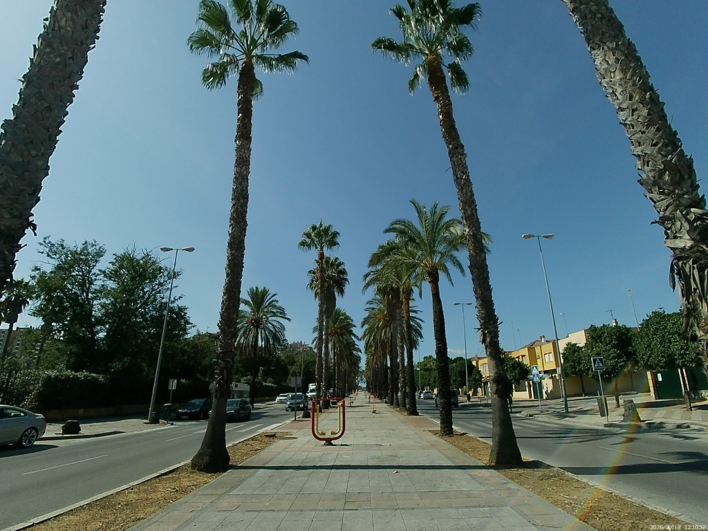 Foto: Av. Andalucía - Jerez de la Frontera (Cádiz), España