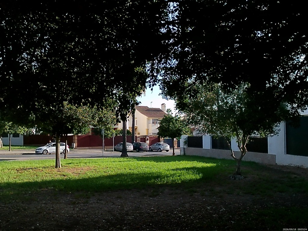 Foto: los Cedros - Jerez de la Frontera (Cádiz), España