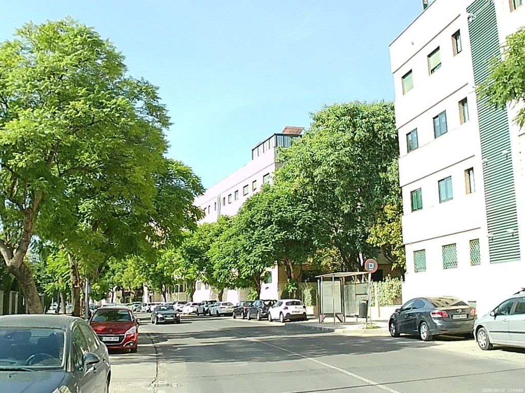 Foto: Avenida de Altillo - Jerez de la Frontera (Cádiz), España