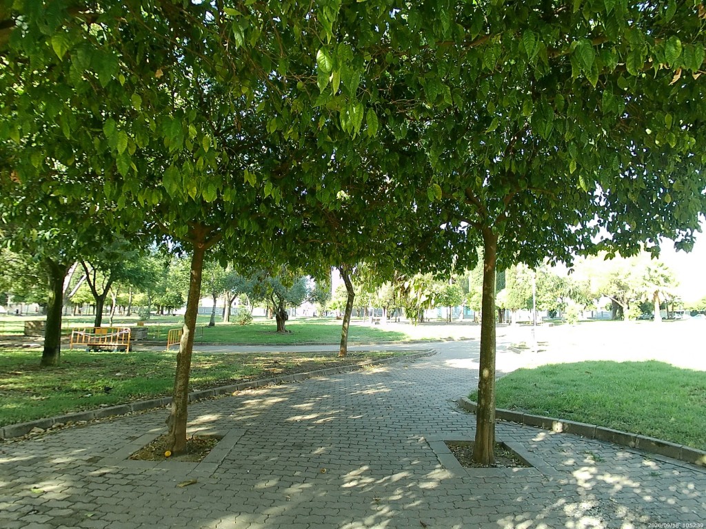 Foto: Parque del Altillo - Jerez de la Frontera (Cádiz), España