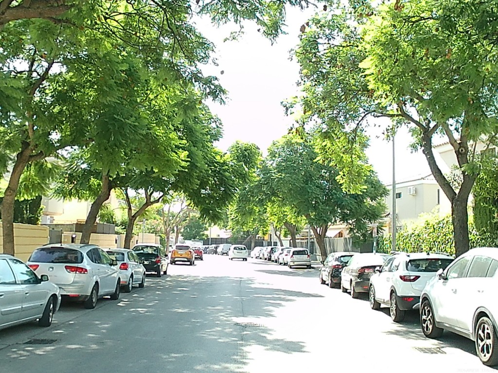 Foto: Calle Antares - Jerez de la Frontera (Cádiz), España