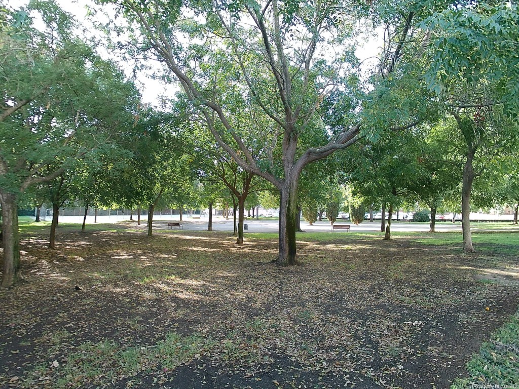 Foto: Parque de los Gatos - Jerez de la Frontera (Cádiz), España