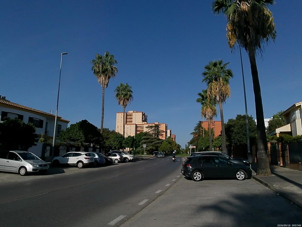 Foto: Avenida San Juan de Avila - Jerez de la Frontera (Cádiz), España