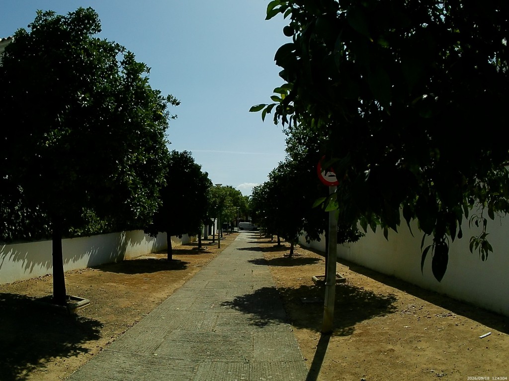 Foto: Calle Pintor Lorente - Jerez de la Frontera (Cádiz), España