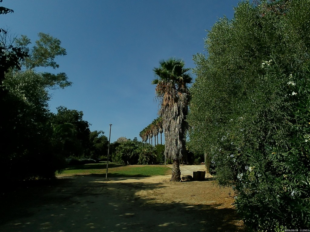 Foto: Jardines  El Olivar - Jerez de la Frontera (Cádiz), España