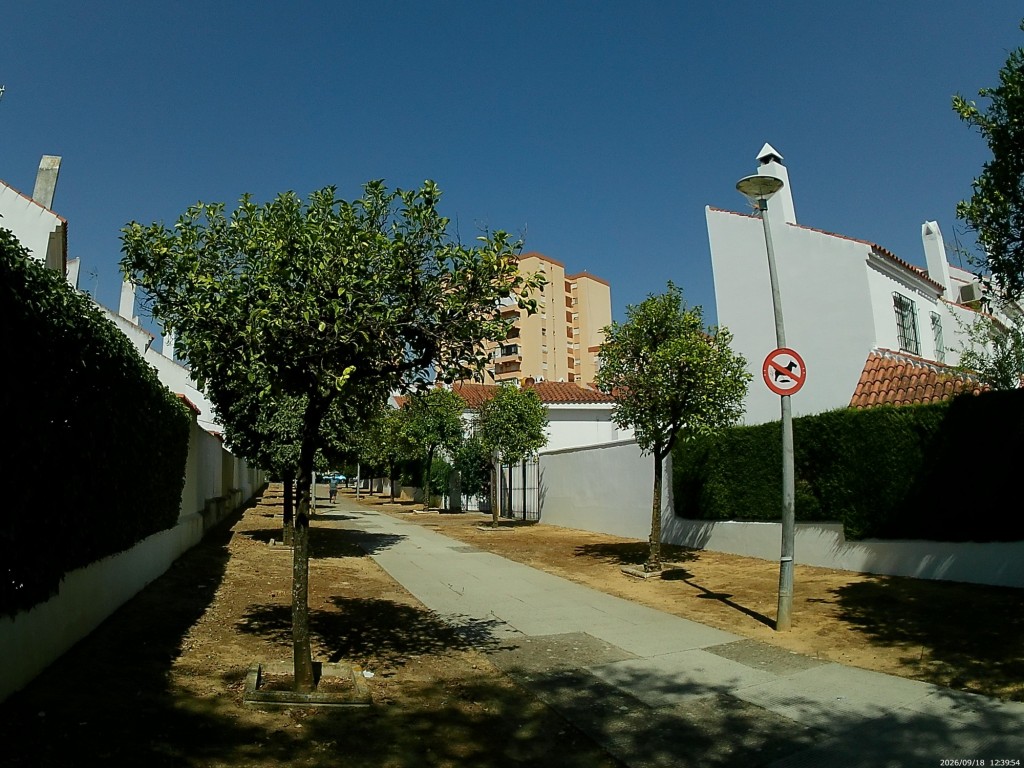 Foto: Calle Pintor Lorente - Jerez de la Frontera (Cádiz), España