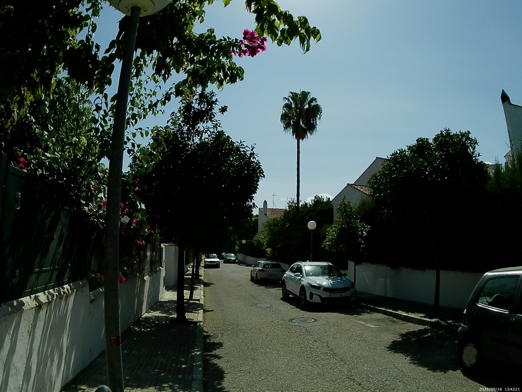 Foto: Calle Pintor Padilla - Jerez de la Frontera (Cádiz), España